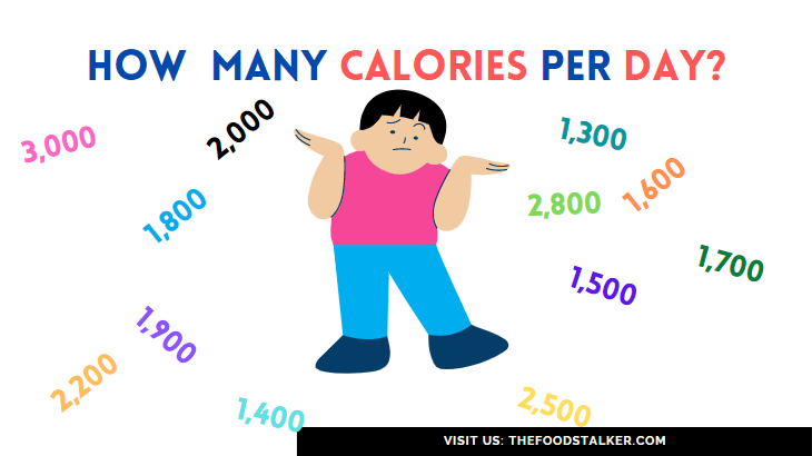 How Many Calories Per Day
